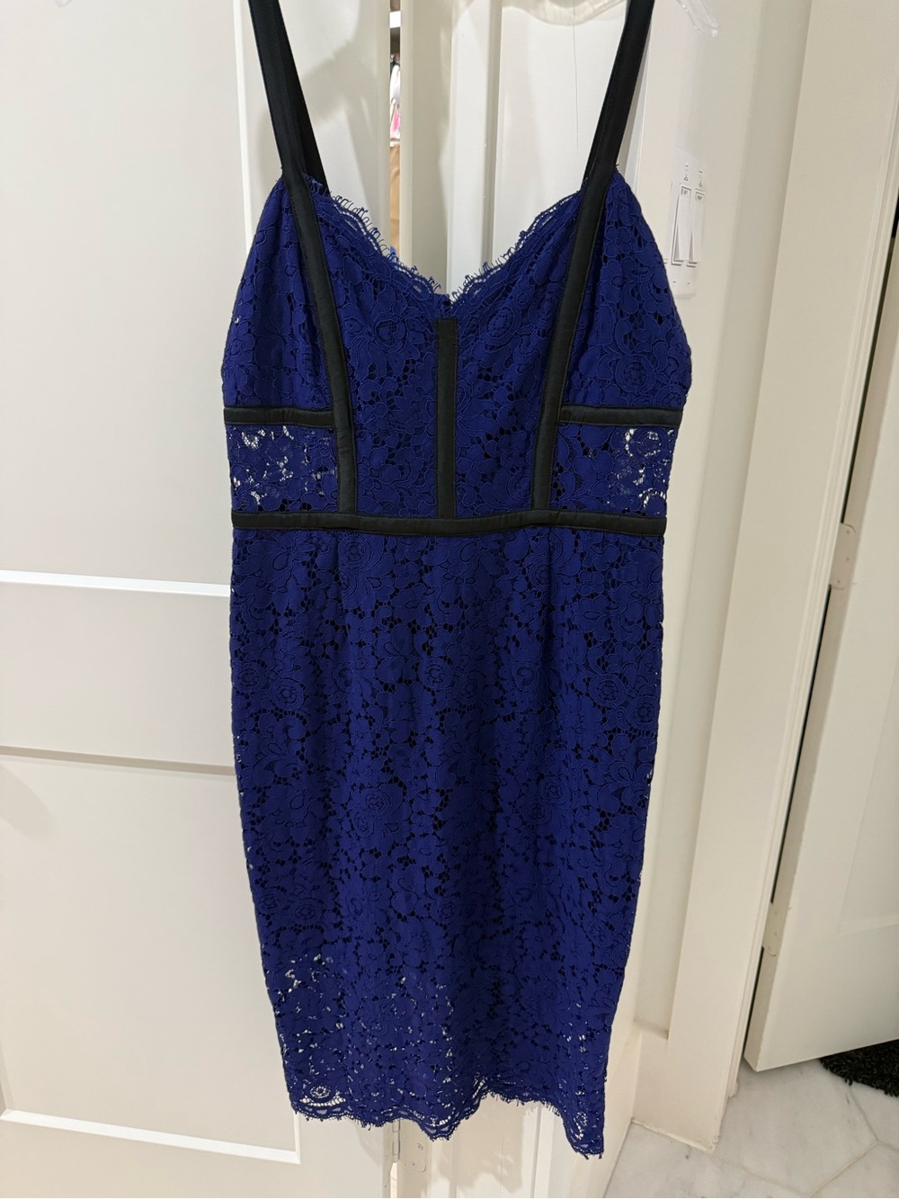 Express Royal Blue Lace Midi Dress with Black Trim
